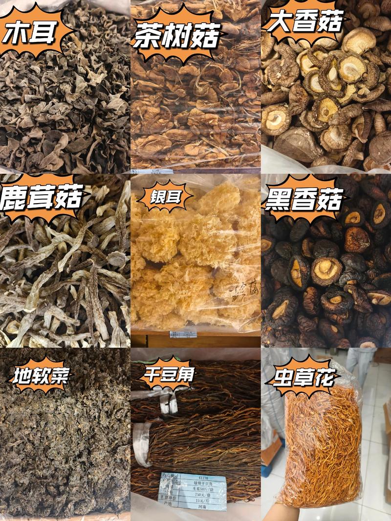 食品贸易行业的现状与未来展望